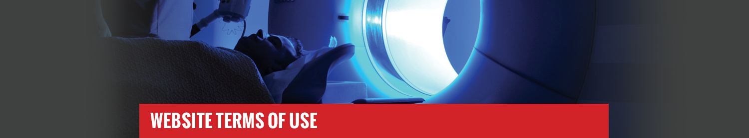 website terms website terms